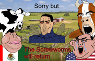 animal bug cow crying farm flag:mexico flag:united_states fly glasses insects nas:amerimutt open_mouth parasite subvariant:chudjak_amerimutt variant:chudjak variant:meximutt // 1328x851 // 1.2MB