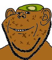 closed_mouth ear food fruit kiwi series:fruiterz! smile soyjak stubble variant:impish_soyak_ears // 337x390 // 118.5KB