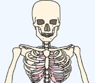 bone meta:tagme not_a_fucking_soyjak series:skeletonjaks skeleton subvariant:muscular_chud variant:chudjak // 1059x929 // 39.5KB