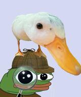 amphibian closed_eyes duck frog goose meta:meta nas:pepe pepe_the_frog subnas:marv // 372x447 // 221.7KB amphibian closed_eyes duck frog goose meta:meta nas:pepe pepe_the_frog subnas:marv // 372x447 // 221.7KB