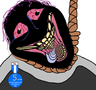 ack badge black_skin bloodshot_eyes deformed distorted hanging irc ircorder ircuck rope suicide tranny trend:slopjak troon variant:bernd white_background // 768x719 // 181.1KB