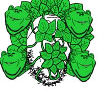 guinness_world_record impish leaves plant variant:gapejak variant:impish_soyak_ears // 602x602 // 354.3KB