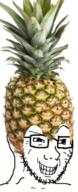 food foodjak fruit glasses pineapple pinejak smile smug soyjak stubble variant:soyak // 600x1469 // 1.2MB