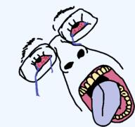 bloodshot_eyes crying disembodied eyebrows eyelashes face open_mouth purple_tongue red_eyes template tongue tranny variant:bernd yellow_teeth // 543x509 // 24.6KB