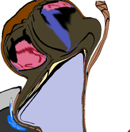 award black_skin bloodshot_eyes blue brown deformed irc ircjeet ircpedo liquify_tool nigger slop transparent_background trend:slopjak variant:bernd // 774x786 // 174.0KB