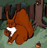acorn artist:shemmysloota closed_eyes drawfag drawing forest nuts red_fur squirrel subvariant:feralsquirrel tail variant:feraljak // 1042x1065 // 370.1KB