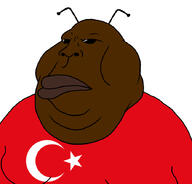 antenna cockroach flag:turkiye nigger roach shitskin subvariant:bantumutt turk turkiye turkroach variant:meximutt yellow_sclera // 888x849 // 173.1KB