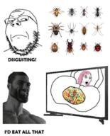 angry ant anus bee beetle bug cereal closed_mouth cockroach daddy's_girl female gigachad glasses goatse insects ladybug meta:pornographic_content mite nsfw pink_hair screen smile soyjak spider stubble text variant:gapejak variant:wojak wojak // 541x670 // 293.0KB