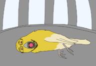 ack animal bird cage canary coal coal_alert coal_canary dead front_facing mouth_open no_background transparent transparent_background variant:bernd variant:gapejak // 756x525 // 75.4KB