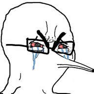 animal beak bird bloodshot_eyes crying glasses kiwi soyjak thick_eyebrows variant:cryboy_soyjak // 1080x1012 // 257.6KB