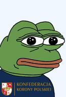 amphibian bald closed_mouth clothes europe frog green_skin lips looking_at_you nas nas:pepe pepe pepe_the_frog poland polish politics transparent_background tshirt // 1344x1973 // 113.3KB