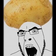 4chan arrow coin discord edit federal_agent froot god grape janny kuz potatoes reddit robot shadow soot soyjak_party thumbs_up trend:squirreljakking variant:cobson video // 1082x1080, 9.7s // 11.0MB