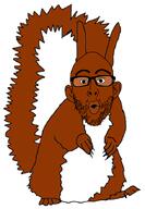 angry animal arm brown_skin full_body glasses hand leg open_mouth soyjak squirrel stubble subvariant:feralsquirrel tail variant:nojak // 609x880 // 218.6KB
