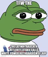 amphibian anime blue_background catholic clothes constitution_party frog green_skin latino lips meme murray_rothbard nas:pepe nazism pepe pepe_the_frog politics tshirt white_power white_power_rothbardism // 500x584 // 62.1KB
