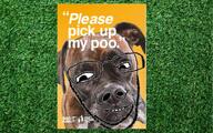 canine dog grass please poo poop trash // 919x573 // 132.1KB