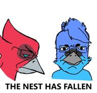 2soyjaks animal beak bird blue_skin closed_eyes closed_mouth crying glasses jay_bird red_skin side_profile soyjak subvariant:chudjak_front text variant:chudjak // 430x410 // 136.1KB