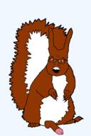 animal arm ear full_body glasses hand leg mustache open_mouth penis soyjak subvariant:feralsquirrel tail trend:squirreljakking variant:feraljak // 340x512 // 59.6KB