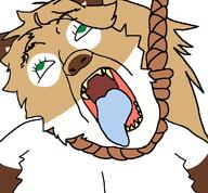 ack averi furfag furry hanging open_mouth rope subvariant:trannyfur // 760x704 // 63.8KB