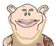 amerimutt camouflage ear flag:united_states subvariant:impish_ameriaryan subvariant:impish_amerimutt trend:aryan united_states variant:impish_soyak_ears war // 1093x912 // 325.7KB