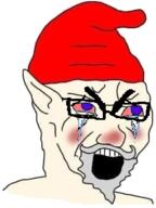 beard bloodshot_eyes blush clothes crying ear glasses gnome grey_hair hat merge mustache open_mouth pointy_ears purple_eyes soyjak variant:cryboy_soyjak variant:soyak white_skin // 264x352 // 84.4KB