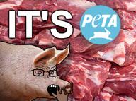 animal crying glasses open_mouth peta pig variant:soyak // 671x500 // 639.0KB