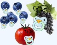 baby babyjak blueberry food fruit grape leaf multiple_soyjaks objectsoy pacifier series:fruiterz! tomato variant:gapejak // 904x714 // 684.0KB