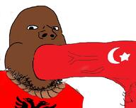 albania blowjob brown_skin country flag flag:albania flag:turkiye gay nsfw open_mouth penis pubic_hair reichsadler rope stubble subvariant:blowjob_gapejak turkiye variant:gapejak vein veiny_cock // 1056x836 // 186.8KB