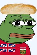 amphibian bald bread canada canadian closed_mouth clothes country flag flag:manitoba food frog green_skin irl lips looking_at_you manitoba nas nas:pepe pepe_the_frog providence series:pepe_hat transparent_background tshirt winnipeg_rye winnipeg_rye_bread // 1008x1479 // 627.6KB
