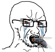 animated bug chomping crying eating ext=gif fly housefly tear variant:soyak wing // 772x730 // 1.1MB