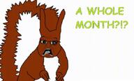 comic_sans meta:tagme no_nut_november november open_mouth pun scared screaming soyjak subvariant:doctos subvariant:feralsquirrel text trend:squirreljakking variant:feraljak // 872x532 // 95.6KB