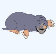 animal claw full_body mole open_mouth series:animaljaks small_eyes soyjak stubble variant:soyak whack whisker // 1000x956 // 36.1KB