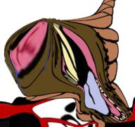 antifurry meta:tagme variant:bernd // 768x719 // 498.5KB