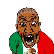 angry flag:mexico green_shirt mexican_flag red_shirt variant:el_perro_rabioso // 1000x1000 // 94.9KB
