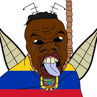 ack! black_skin cockroach ecuador flag:ecuador nigger subvariant:feralnigger variant:feraljak veneco // 1099x1099 // 312.6KB