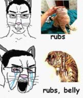 2soyjaks animal bloodshot_eyes cat cat_ear crying glasses hair place_japan smirk soyjak variant:chudjak whisker // 789x931 // 759.1KB