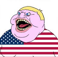 americuck blond blue_eyes flag:united_states subvariant:ragemutt trend:aryan united_states variant:meximutt // 1100x1080 // 275.4KB