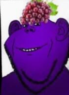 avatarify ear grape mouth_closed purple_skin singing smile variant:impish_soyak_ears // 352x480, 14.2s // 3.9MB