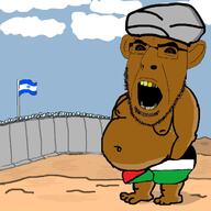 arm border brown_eyes brown_skin clothes country drawn_background ear flag flag:israel flag:palestine full_body glasses hand hat israel leg open_mouth palestine soyjak stubble turban underpants variant:cobson yellow_teeth // 1200x1200 // 506.8KB