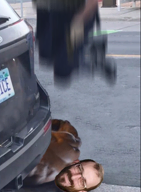 ack alex_jeffery_pretti animated balding bing_bing_wahoo dead death derek_chauvin george_floyd gigachad glasses gun gunshot liquify_tool music muzzle_flash nas:gigachad sound spaghetti stubble tranny variant:bernd video // 504x682, 5s // 863.3KB