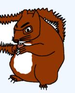 chud eating nut realistic sitting squirrel // 581x720 // 14.8KB
