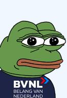 amphibian bald bvnl closed_mouth clothes dutch europe european frog green_skin lips looking_at_you nas nas:pepe netherlands pepe pepe_the_frog politics transparent_background tshirt // 1344x1973 // 99.8KB