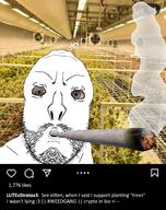 bloodshot_eyes blue_eyes blunt instagram irl_background jakparty_soy lute screenshot smoke squirrel text variant:feraljak weed white_fur white_skin // 1125x1421 // 1.6MB