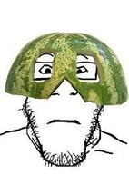 closed_mouth glasses meta:low_resolution neutral soyjak stubble subvariant:neutralplier variant:markiplier_soyjak watermelon // 193x261 // 10.3KB