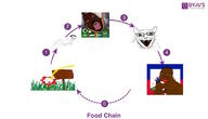 animal cannibalism cat educational faggot flower food_chain grass haiti meta:tagme nigger palestine plant rope subvariant:feral_meowjak tyrone variant:bernd variant:chudjak variant:feraljak variant:kuzjak // 776x446 // 63.1KB
