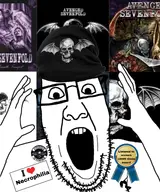 avenged_sevenfold award guitar metal_(music) metalcore necrophilia variant:ppp // 3162x3794 // 1.4MB