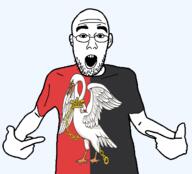 animal arm bird british buckinghamshire clothes ear england flag flag:buckinghamshire glasses hair hand open_mouth pelican pointing soyjak stubble teeth tshirt united_kingdom variant:shirtjak // 1236x1118 // 218.4KB