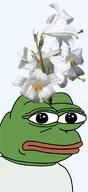amphibian bald blue_background closed_mouth clothes flower frog green_skin irl lily lips looking_at_you nas nas:pepe pepe_the_frog plant series:pepe_hat tshirt white_lily // 786x1720 // 586.9KB amphibian bald blue_background closed_mouth clothes flower frog green_skin irl lily lips looking_at_you nas nas:pepe pepe_the_frog plant series:pepe_hat tshirt white_lily // 786x1720 // 586.9KB