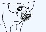animal beard glasses hog pig swine template transparent_background variant:unknown // 1000x714 // 16.5KB