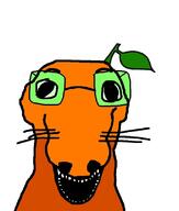 froot orange_skin variant:dogjak // 684x806 // 114.7KB