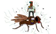 'p award brown_skin bug closed_mouth clothes discord discord_logo_facial_mark facial_mark flag:minor_attracted_person flag:transgender_pride_flag fly fnf_pedo full_body gigafly glasses hair hat jartycuck looking_at_you pedophile posted_it_again_award queen_of_spades series:esl_pedo_league soyjak spade stinky stubble text tshirt variant:markiplier_soyjak white_background yellow_sclera // 1607x966 // 300.8KB